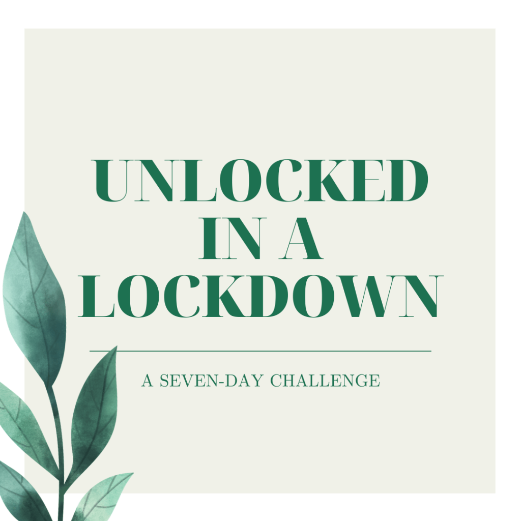 Unlocked in a Lockdown - Investigative Selfism